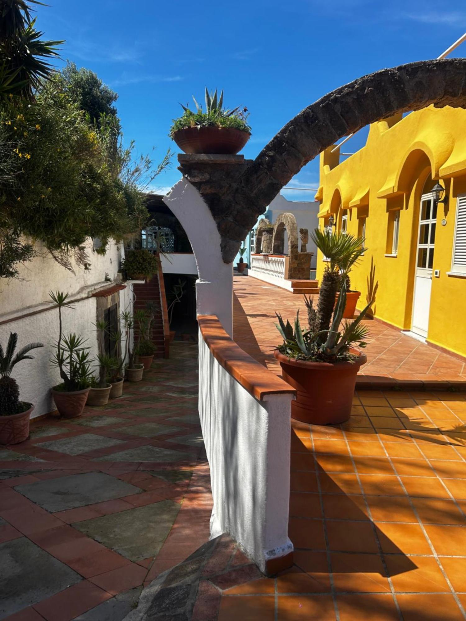Hotel Punto Azzurro Forio di Ischia Zewnętrze zdjęcie
