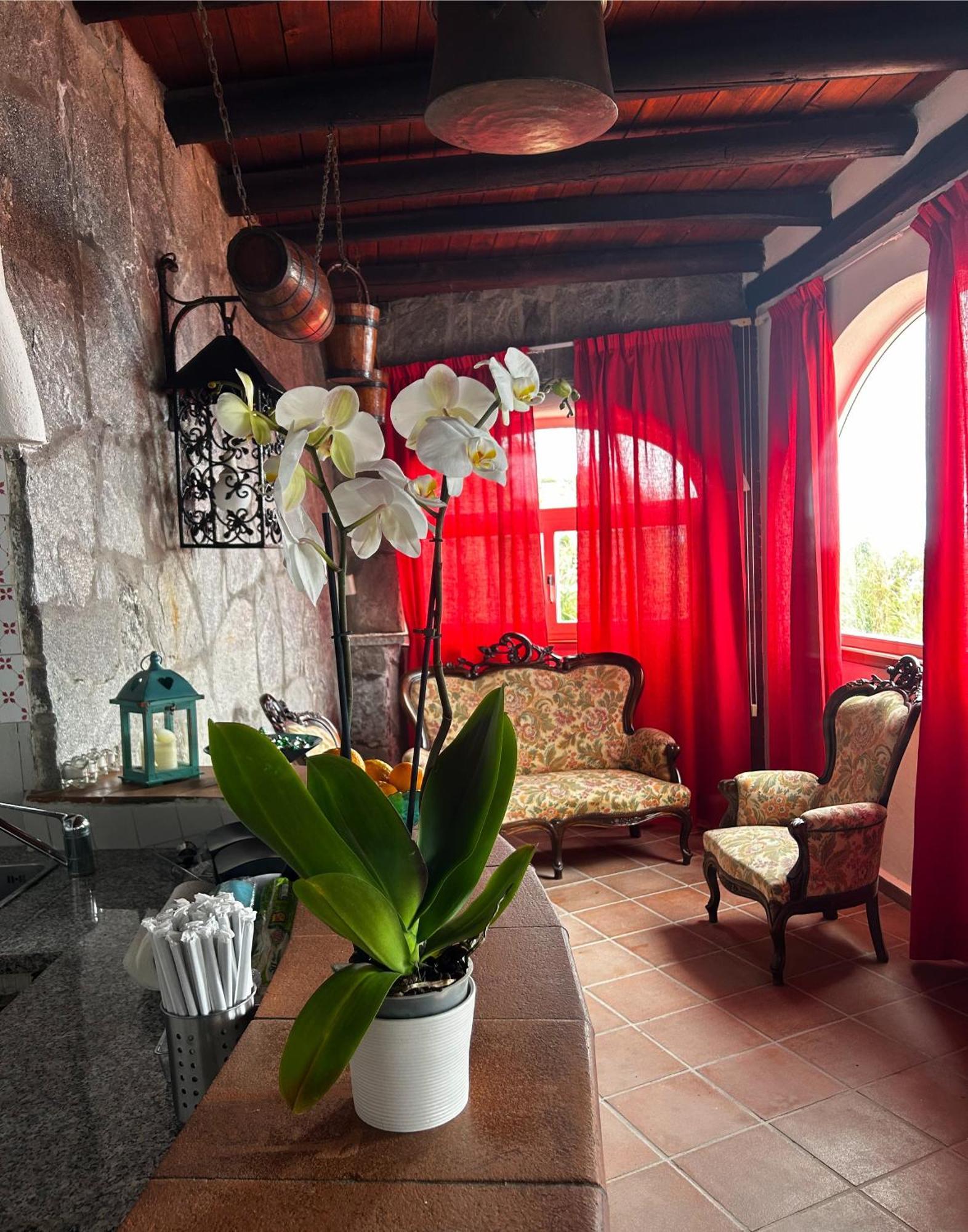 Hotel Punto Azzurro Forio di Ischia Zewnętrze zdjęcie