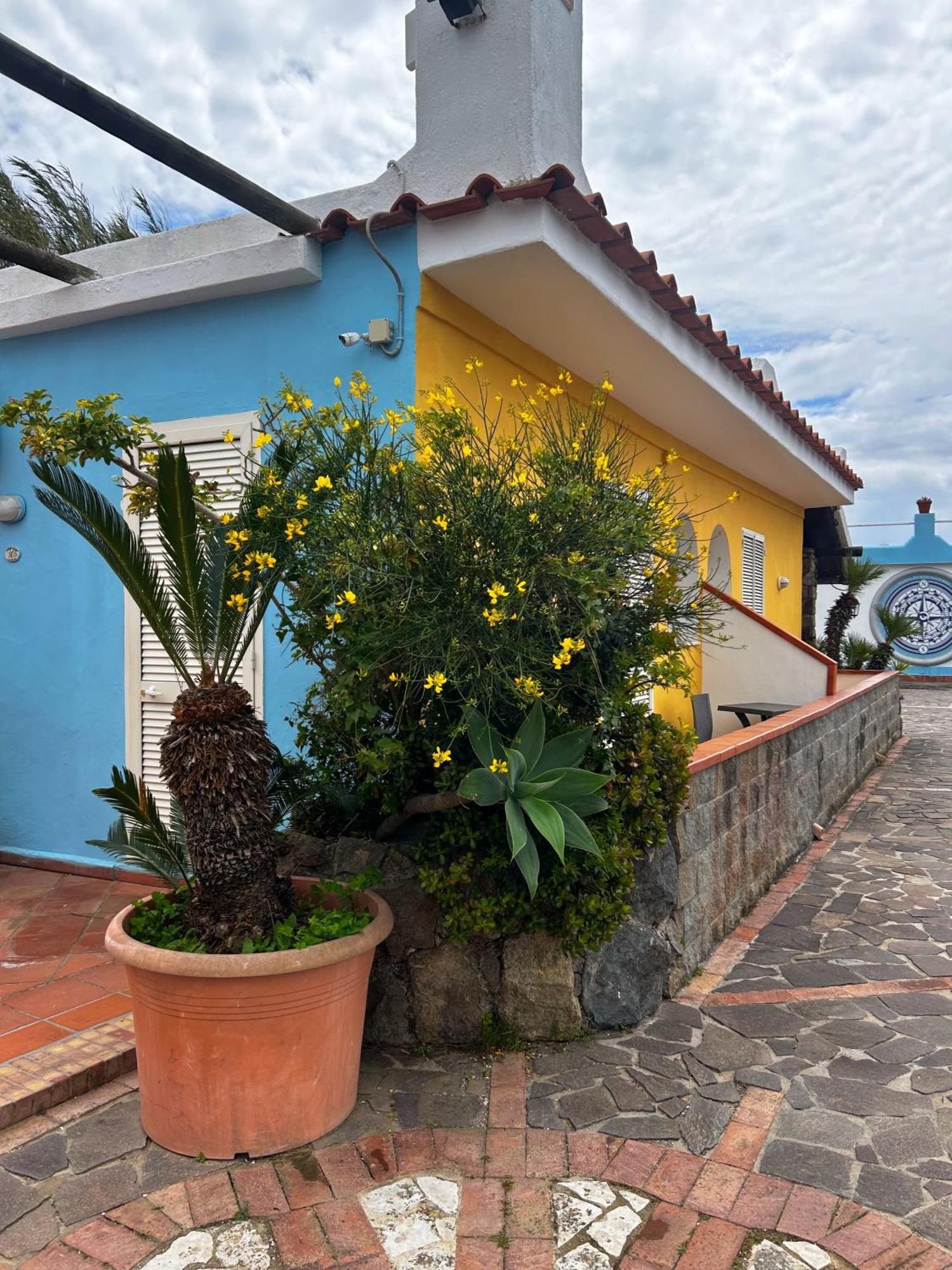 Hotel Punto Azzurro Forio di Ischia Zewnętrze zdjęcie